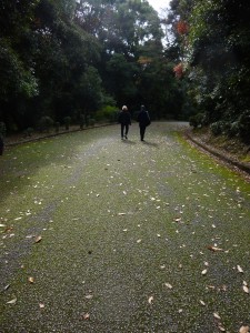 Path from Kammu to Meiji